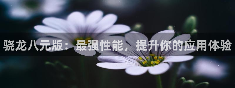 人生就是搏体育代理申请流程：骁龙八元版：最强性能，提升你的应用体验