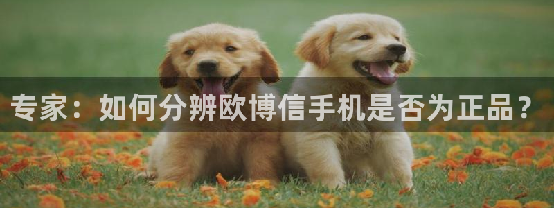 人生就是搏体育1招商：专家：如何分辨欧博信手机是否为正品？