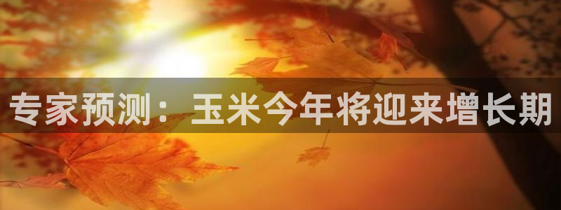 人生就是搏2登录入口：专家预测：玉米今年将迎来增长期