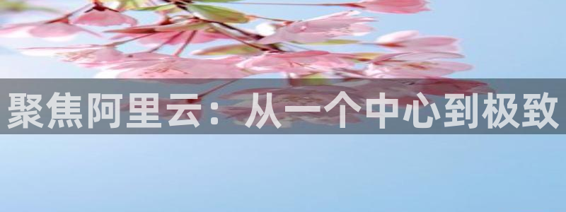 人生就是搏体育3：聚焦阿里云：从一个中心到极致