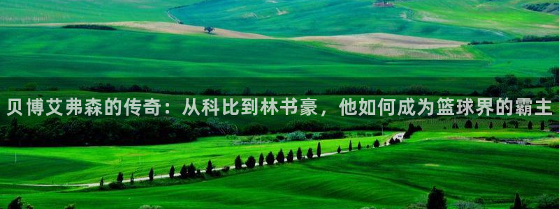 人生就是搏体育官网登录：贝博艾弗森的传奇：从科比到林书豪，他如何成为篮球界的霸主