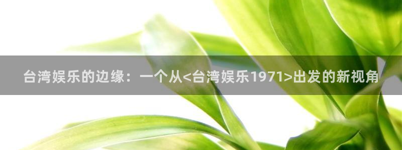 人生就是搏主管：台湾娱乐的边缘：一个从<台湾娱乐1971>出发的新视角