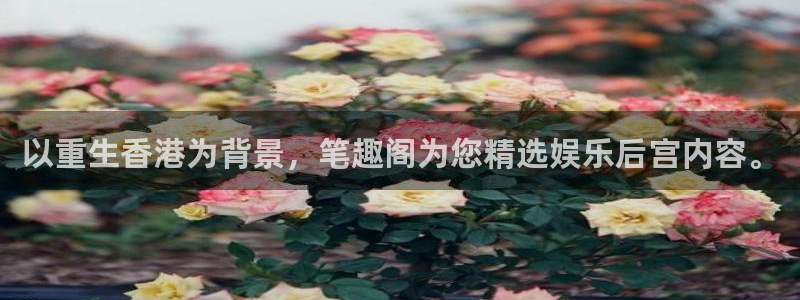 人生就是搏：以重生香港为背景，笔趣阁为您精选娱乐后宫内容。