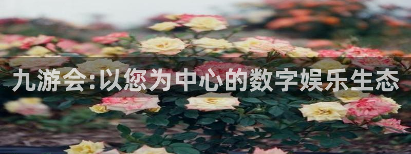 人生就是搏5招商：九游会:以您为中心的数字娱乐生态