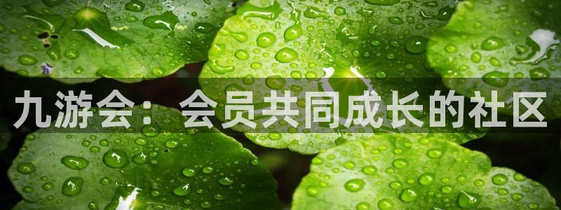 人生就是搏平台主管：九游会：会员共同成长的社区