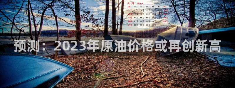 人生就是搏代理：预测：2023年原油价格或再创新高