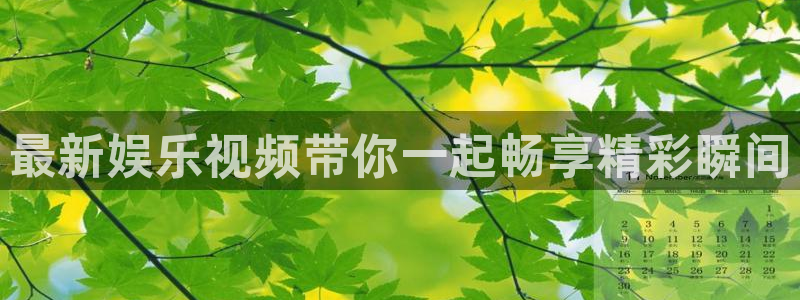 人生就是搏：最新娱乐视频带你一起畅享精彩瞬间