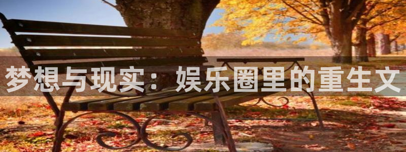 上海人生就是搏汽车电子有限公司：梦想与现实：娱乐圈里的重生文