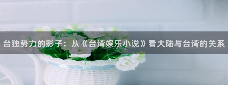 人生就是搏招商：台独势力的影子：从《台湾娱乐小说》看大陆与台湾的关系