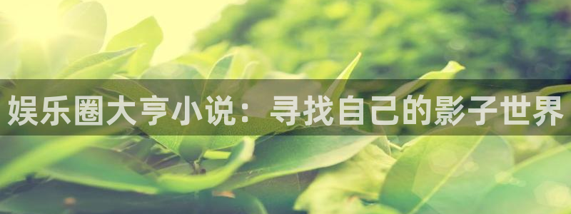 人生就是搏4平台：娱乐圈大亨小说：寻找自己的影子世界