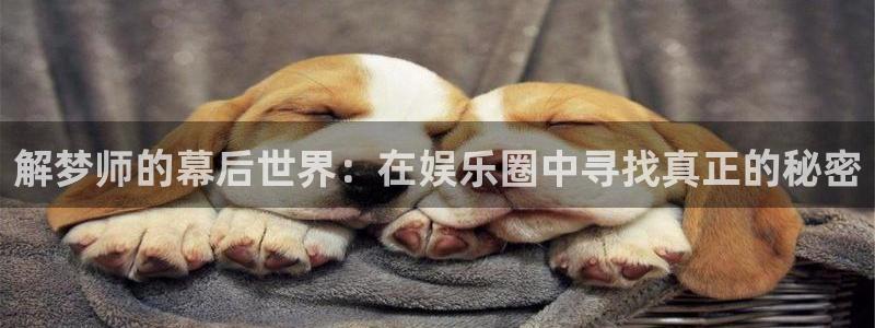 人生就是搏3官网：解梦师的幕后世界：在娱乐圈中寻找真正的秘密