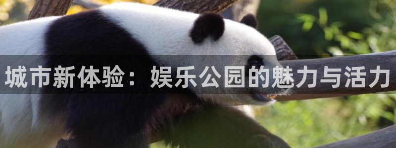 人生就是搏平台开户链接：城市新体验：娱乐公园的魅力与活力