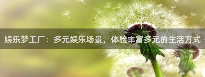 人生就是搏k：娱乐梦工厂：多元娱乐场景，体验丰富多元的生活方式