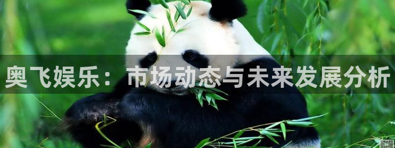 人生就是搏5招商：奥飞娱乐：市场动态与未来发展分析