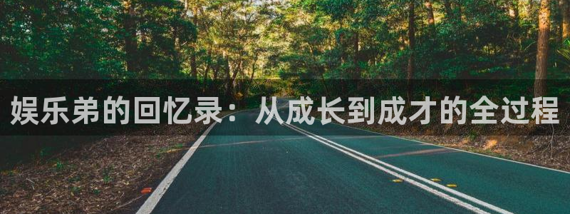 人生就是搏平台招商：娱乐弟的回忆录：从成长到成才的全过程