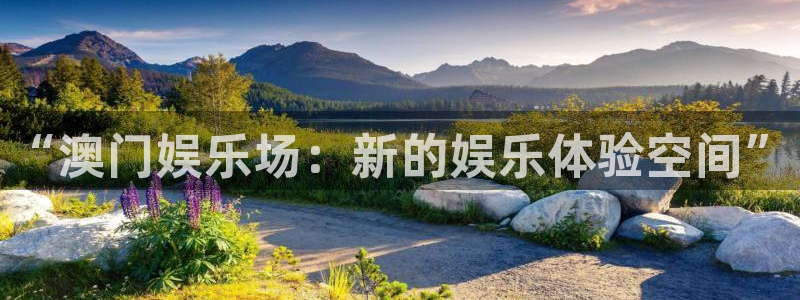 人生就是搏体育代理申请流程：“澳门娱乐场：新的娱乐体验空间”