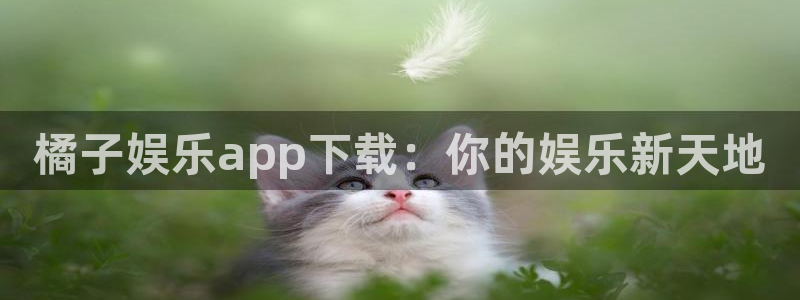 人生就是搏体育注册代理：橘子娱乐app下载：你的娱乐新天地