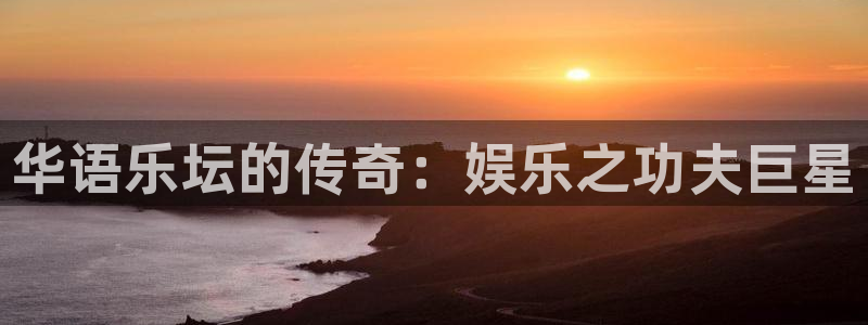 人生就是搏集团股票：华语乐坛的传奇：娱乐之功夫巨星