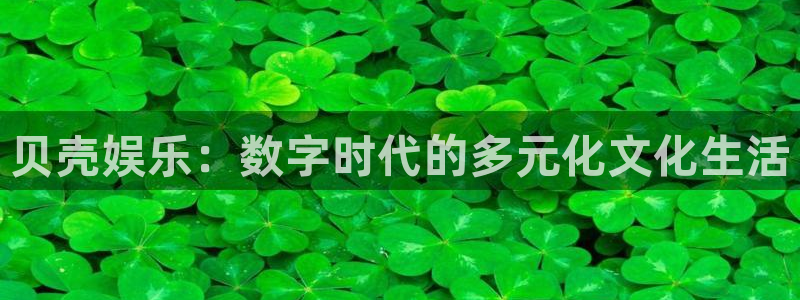 人生就是搏招商：贝壳娱乐：数字时代的多元化文化生活
